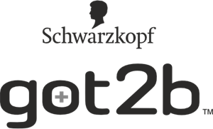 Got2b brand logo
