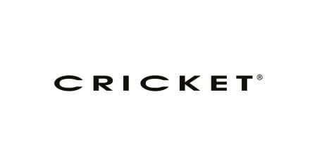 chricket logo